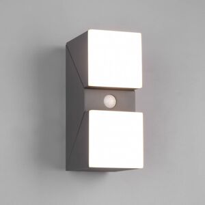 Trio Lighting Venkovní nástěnné svítidlo LED Avon, dvousvětelné, senzorové