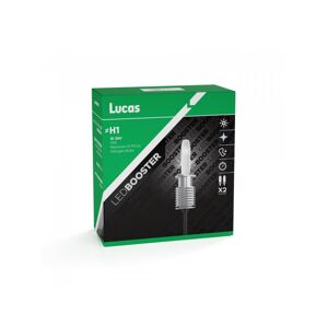 Lucas 12V/24V H1 LED žárovka P14,5s, sada 2 ks 6500K